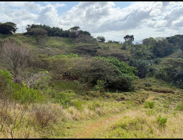 LAND FOR SALE IN ZINI RIVER ESTATE